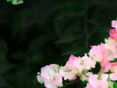 -南麂列岛