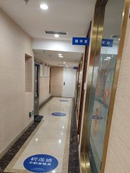 -碧莲盛·不剃发植发