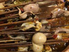 -镇江龙·火锅串串(武侯祠店)