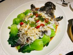 味淋鲜花椒龙趸-维园悦谱·海派家常菜(乌鲁木齐南路店)