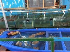 -蓝湾碧波·老字号·疍家非遗海上餐厅