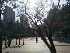 -木塔寺遗址生态公园