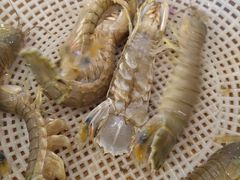 -四海鲜渔家菜(黄金海岸店)