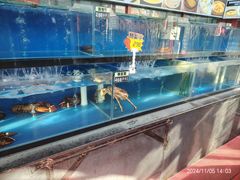 -有喜胶东小馆(太申祥和店)