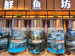 -老船舫·现做活鲜鱼馆(东郊记忆店)