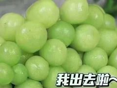 -婉泰·特色小吃·舂鸡脚(告庄二店)