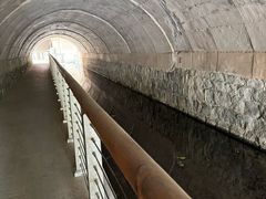 -白水寺森林公园