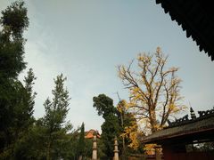 -金堂县云顶石城风景区