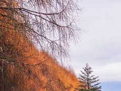 -硗碛藏寨·神木垒景区