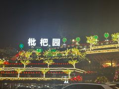 -枇杷园食为鲜火锅(南山店)