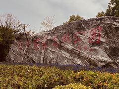 -东平国家森林公园
