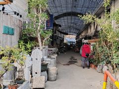 -桂林市花鸟市场