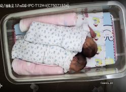 -海豚湾高端月子会所(黄浦店)