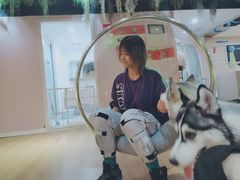 -Husky Go! 哈士奇体验馆·宠物咖啡厅狗咖