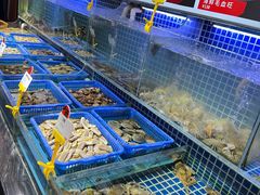 水产区-必点海鲜·鲅鱼水饺(鞍山西道店)