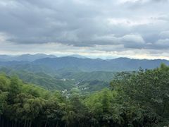 -莫干山风景区
