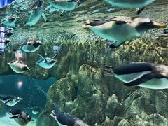 -成都浩海立方海洋公园