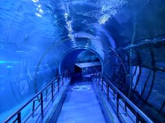 -太平洋海底世界