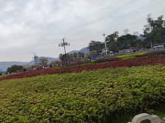 -南华禅寺