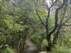 -天燕原始生态旅游区-天门垭景区