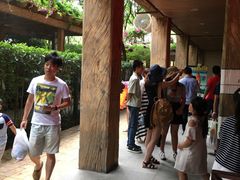 -热带风暴水上乐园(新镇路)