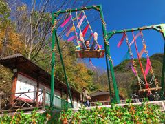 -天女山森林公园