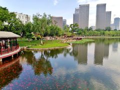 -西海子公园