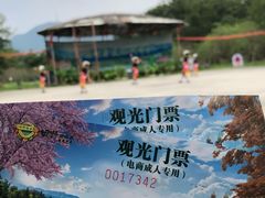 -田野绿世界