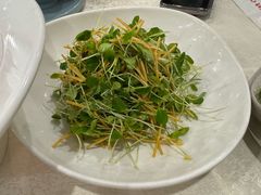 -洞庭家宴·头牌甲鱼(广渠门店)