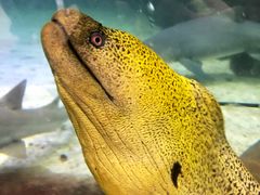 -鸿通城购物中心