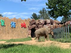 -济南野生动物世界