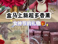 -盒马X会员店(上海森兰商都店)