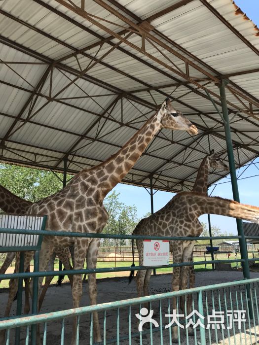 天津動物園圖片 - 第4張