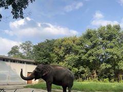 -合肥野生动物园