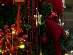 -楼外楼(西湖景区孤山路店)