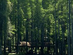 -波尔登森林公园