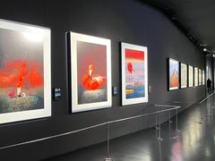 -罗红摄影艺术馆