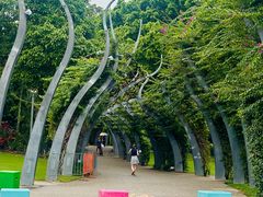 -布里斯班南岸公园
