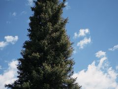 -新疆那拉提国家旅游度假区
