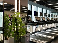 -金吉鸟健身游泳