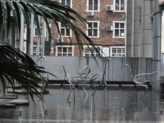 -M Stand(上海人民广场来福士店)