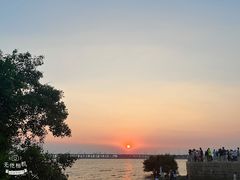 -宝安西湾红树林湿地公园