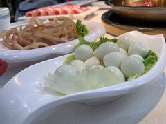 -二荆条·城市森林火锅旗舰店