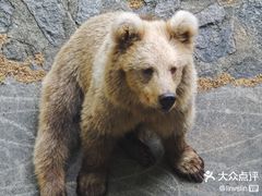 -上海动物园(地铁站)