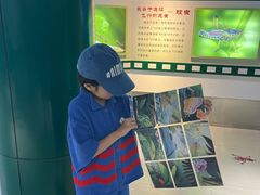 -上海昆虫博物馆