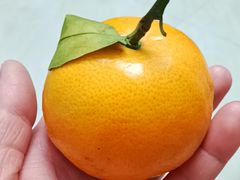 -湘邻呷铺·田园家宴(汉基广场店)