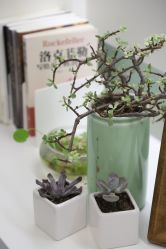 -Dr.U博士医疗美容医院