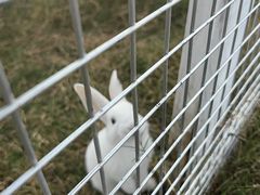 -嘉北郊野公园