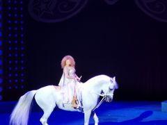 -珠海横琴长隆《卡卡虎奇遇记》