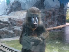 -鄂尔多斯野生动物园